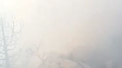 В Баткенской области горят леса и пастбища, жители просят вертолет МЧС. Видео
