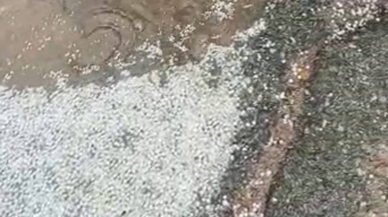 Град в Чолпон-Ате. Видео