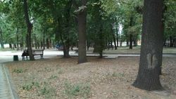 «Бишкекзеленхоз» убрал мусор в парке возле «Дордоя» после жалобы горожанина. Фото