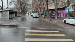 Водители захватывают тротуары на Усенбаева-Линейной. Фото
