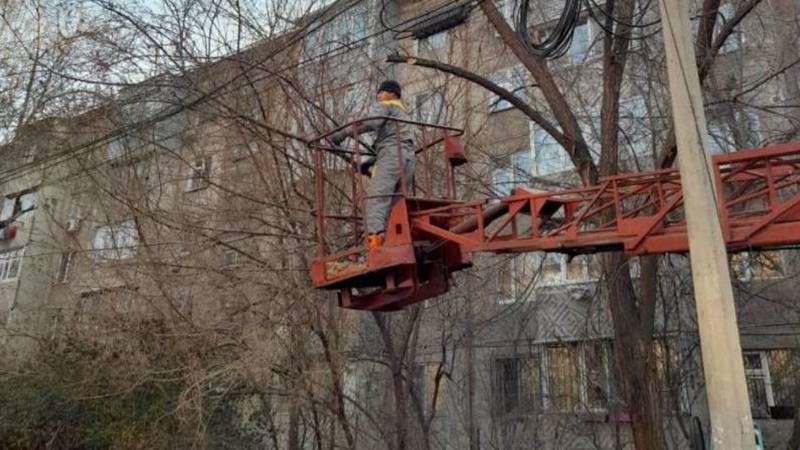 «Бишкекзеленхоз» убрал аварийные ветки на Чокморова после жалобы горожанина. Фото
