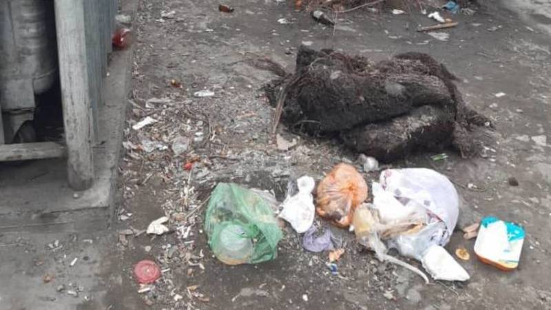На Гоголя-Фрунзе бомжи раскидывают мусор. Фото