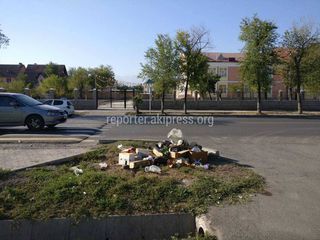 На пересечении улиц Гагарина и Бронированной мусор оставили на газоне