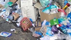 На Чуй-Исанова мусор вываливается из баков. Фото