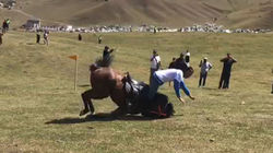 Момент падения лошади на скачках в Чункурчаке. Видео