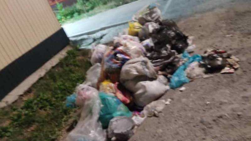 На Щербакова-Сеченова неделю не убирают мусор. Видео горожанина