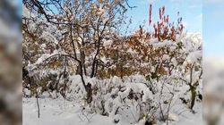 Первый снег в селе Кара-Ой