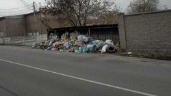 На Т.Айтматова мусорные баки забиты. Фото