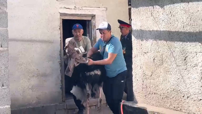 В Толмачево поймали москвича за разборки с авиакомпанией — видео задержания - 24 июня - vitasvet-led.ru