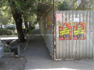 Мэрия Бишкека перенаправила запрос про забор пристройки на пересечении улиц Московской-Тимирязева в Госэкотехинспекцию