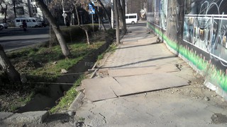 «Зеленстрой города Бишкек» направил письмо в Госэкотехинспекцию о заборе строящегося объекта, привязанного к деревьям