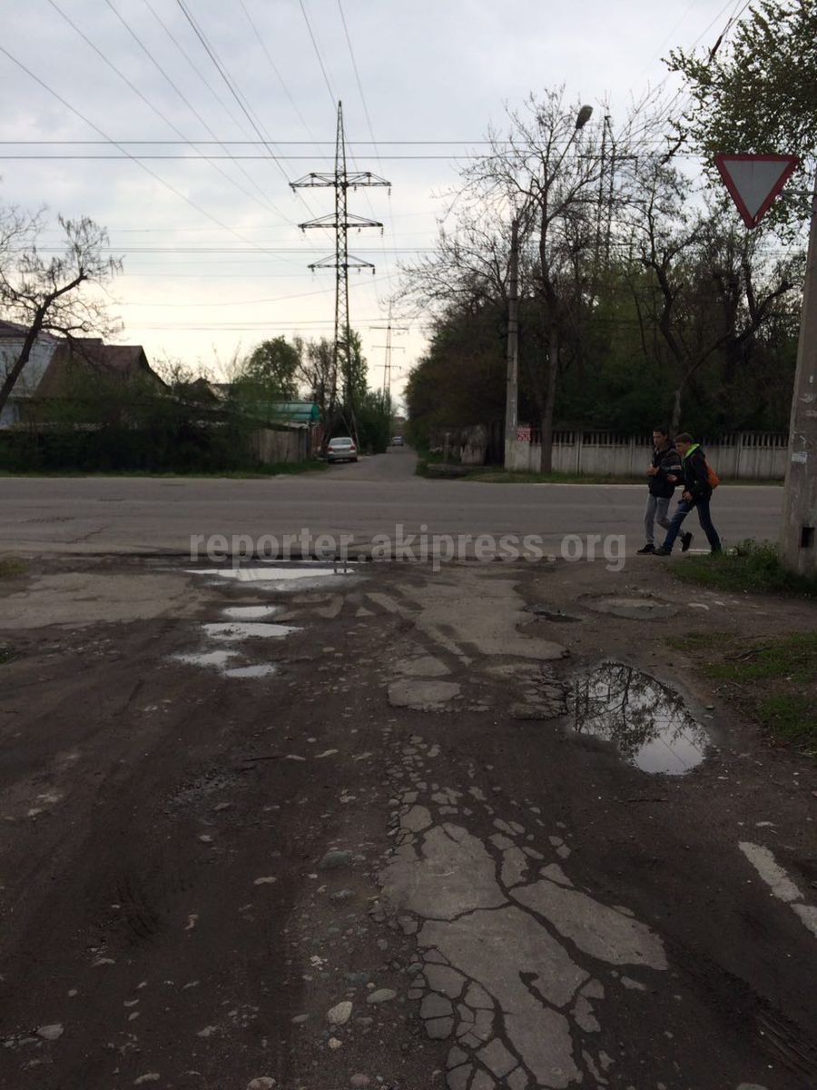 На пересечении улиц Горького-Минина над домом нависло старое, прогнившее  дерево (фото)