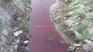 В арыке в жилмассиве Арча-Бешик течет вода подозрительного красного цвета, - читатель (фото)