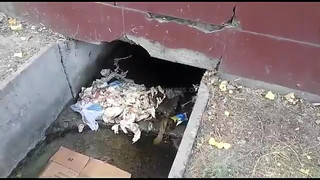 В арыке в 5 мкр скапливается много мусора, - читатель (видео)