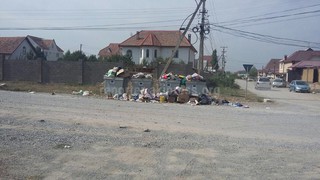 Читатель просит увеличить количество мусорных баков на улице Бакаева (фото)
