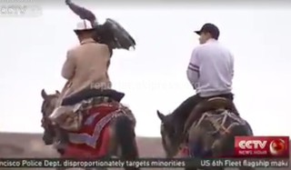 Видео — Сюжет CCTV о синцзяньских кыргызах, занимающихся охотой с орлом