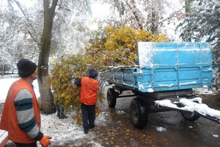 В Кара-Балте идет расчистка улиц и тротуаров от сломанных деревьев после снегопада <i>(фото)</i>