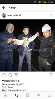Пользователи соцсетей возмущены фото Б.Темирбекова, который с друзьями держали сову за перья (фото)