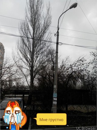 «Бишкексвет» устранит замечания читателя, который сообщил, что фонарь уличного освещения накренился