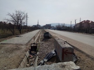 Бишкекчане интересуются, когда будут озеленять недавно отремонтированную улицу Тыналиева?