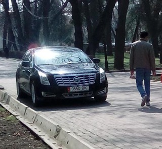 Неравнодушный гражданин сделал фото, как паркуют автомобили в Дубовом парке