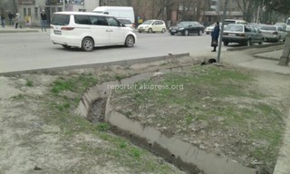 «Тазалык» очищает ирригационные каналы вдоль ул.Алыкулова