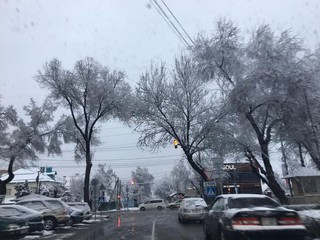 В Бишкеке 6 апреля выпал снег <i>(фото)</i>