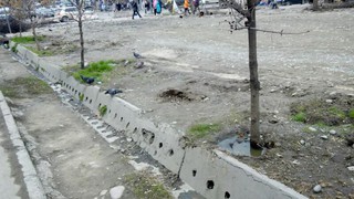 «Зеленстрой» 7 апреля поможет жителям ул.Суеркулова в пересадке деревьев