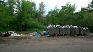 Бишкекчанин просит убрать мусор возле мусорных баков на улице Ленинградской (фото)