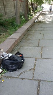 В парке им.Горького в Бишкеке не убран мусор (фото)