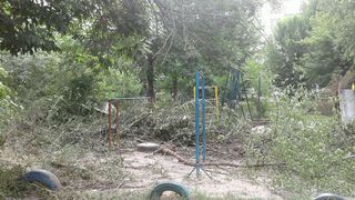 Во дворе дома №96А по ул.Ахунбаева сухие ветки остались на детской площадке после санобрезки деревьев (фото)