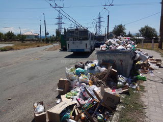 Возле средней школы №77 города Бишкек не вывозится мусор (фото)