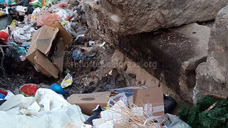 В центре Кызыл-Кии возле мусорки развелись крысы <i>(видео)</i>