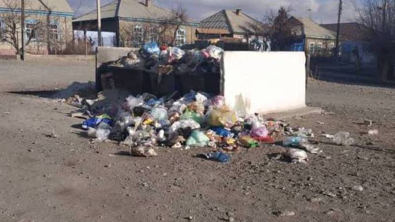 В городе Балыкчи на улице Осмонова не вывозят мусор, - местный житель (фото)