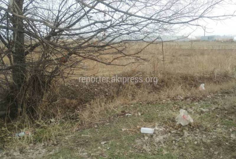 Фото — В Узун-Кырском айыл окмоту поле завалено мусором