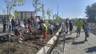 Вдоль Южной магистрали бишкекчане посадили деревья (фото)