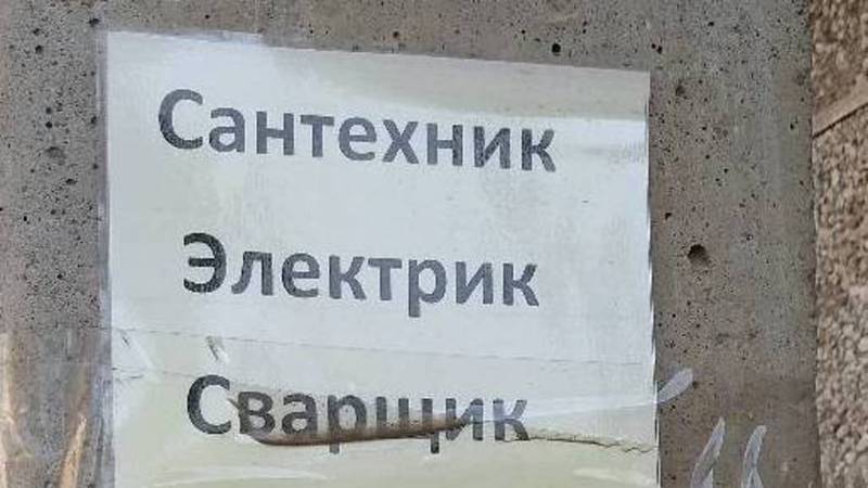 В Бишкеке расклеивают рекламные листовки на столбах, - горожанин (фото)