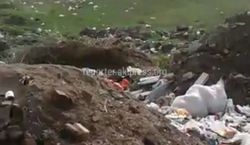 На территории Кураминского айыл окмоту образовалась свалка мусора, которую никто не вывозит (видео)