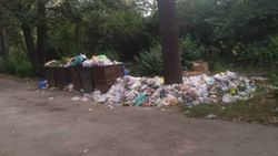 В парке имени Ататюрка не вывозят мусор (фото)