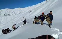Чабаны попали в снежный плен в горах Суусамыра, пытаясь спустить скот в долину. <b>Видео</b>
