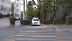 На Московская-Коенкозова водитель «Тойоты» с госномером B 2304 AY припарковал машину на тротуаре и ушел на долгое время, - горожанин