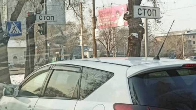 На ул.Иваницына подряд установили два одинаковых дорожных знака. Фото
