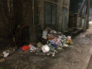 На Будённого - Жибек-Жолу не убирается мусор (фото)