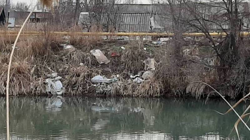 Местные жители тоннами бросают мусор в БЧК, - очевидец. Фото