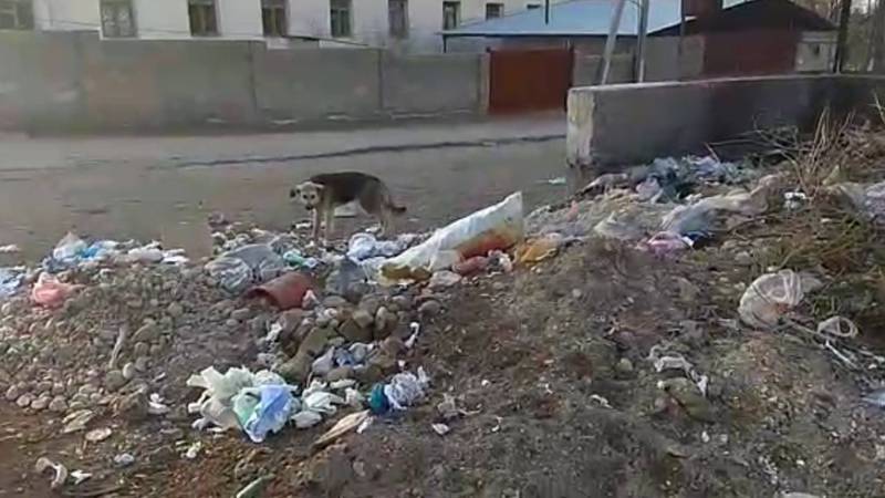 В городе Таш-Комур месяцами не вывозится мусор, - горожанин