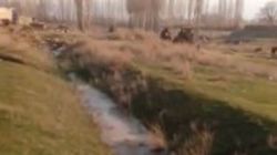 В селе Курманалиева из-за неисправности водокачки много чистой воды утекает просто так,- житель <i>(видео)</i>