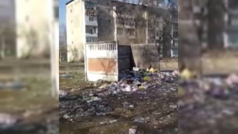 Мусор на улице Добровольского в селе Беловодское убирают два раза в неделю