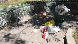 Бишкекчанин жалуется на мусор на Моссовете. Фото