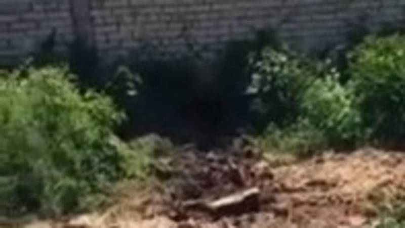Жители села Беш-Кунгей жалуются на соседа, из сарая которого на дорогу вытекают экскременты скота. Видео