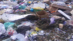 Житель села Пригородное жалуется на мусор. Фото
